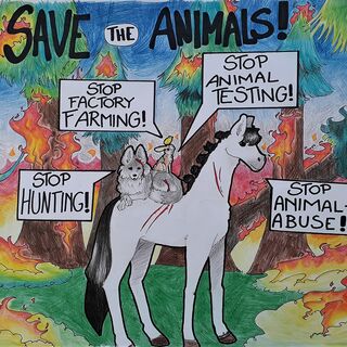 Brennender Wald voller verletzter Tiere, Überschrift: Save the Animals